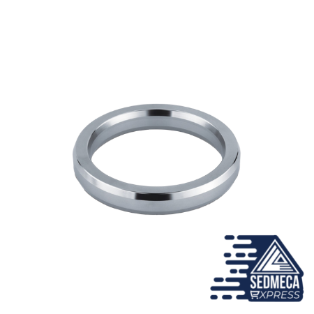 Ring-joint Gaskets R-Type Octogonal  Shape. Sedmeca Express. Metals. Petroleum Equipments.