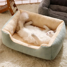 Load image into Gallery viewer, Bed for Cats Pet Products Cushions Kitten Goods Accessories Dog All Houses Supplies Things Accessory Habitats Basket House Beds
