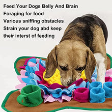 Load image into Gallery viewer, Pet Dogs Snuffle Mat Pet Leak Food Anti Choking Mat Cat Dog Training Blanket Nose Work Toy Pet Slowing Feeding Intelligence Mat
