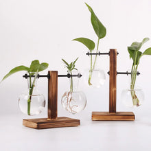 Load image into Gallery viewer, Hydroponic Plant Terrarium Vasevase Decoration Home Glass Bottle Hydroponic Desktop Decoration Office Green Plant Small Potted
