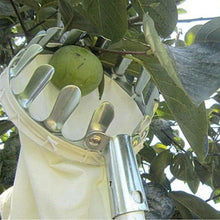 Load image into Gallery viewer, Metal Fruit Picker Orchard Gardening Apple Peach High Tree Picking Tools Fruit Catcher Collector Gardening Toolsgardening tools
