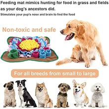 Load image into Gallery viewer, Pet Dogs Snuffle Mat Pet Leak Food Anti Choking Mat Cat Dog Training Blanket Nose Work Toy Pet Slowing Feeding Intelligence Mat
