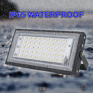 2pcs/lot 50W Led Outdoor Floodlight AC 220V 230V 240V IP65 Waterproof