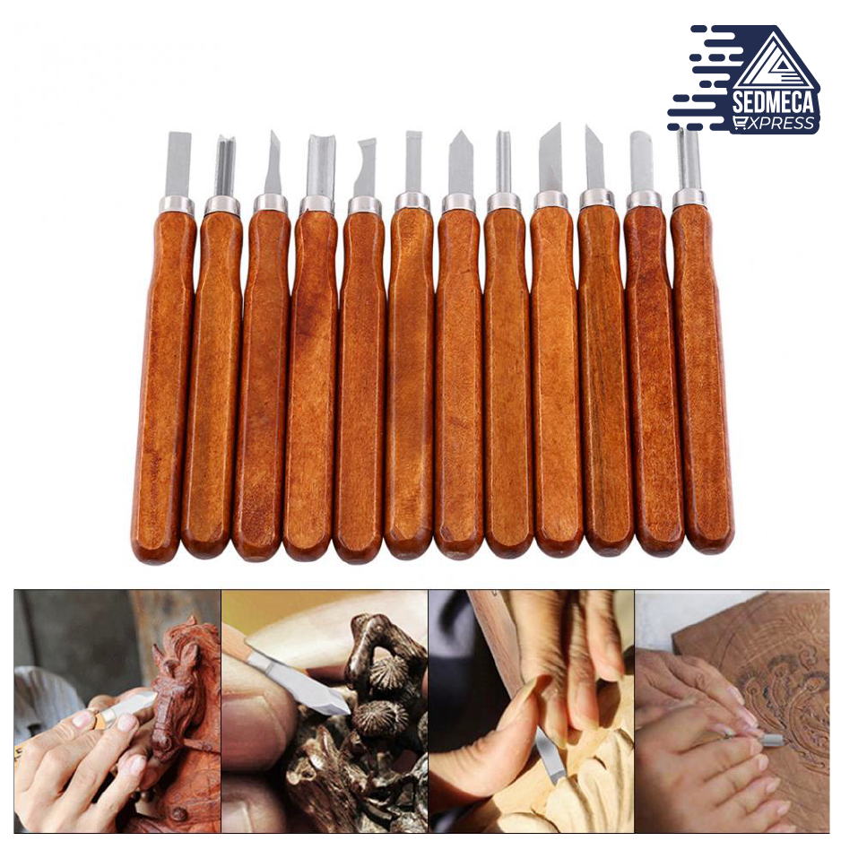 12pcs Wood Carving Chisels Tools Wood Carving for Woodworking Engravin –  SEDMECA Express